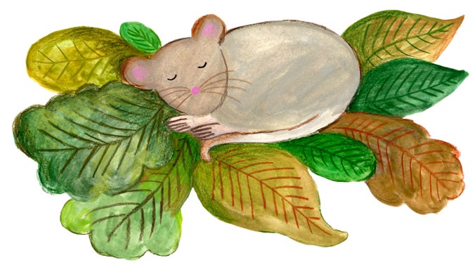 Mouse laying on a bunch of leaves